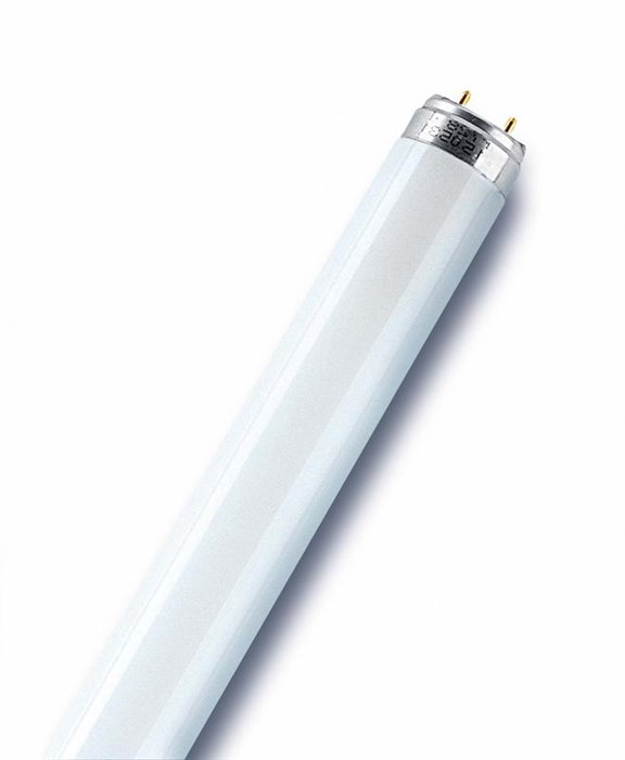 Osram Лампа люминесцентная T8 18Вт 640 /33 G13 4000K (L=600мм) 959652 - фото 32937