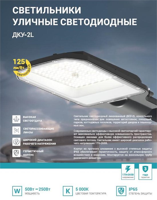 NEOX Светильник консольный уличный линзованный светодиодный ДКУ-2L 200Вт 230В 5000К 25000Лм 125лм/Вт 48-70мм IP65 4690612057699