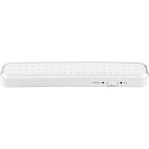 Feron Светильник аккумуляторный, 60LED AC/DC, белый, EL121 12671