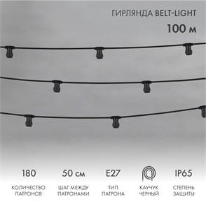 NEON-NIGHT Гирлянда Belt-Light 2 жилы, 100м, шаг 50см, 180 патронов E27, IP65, черный провод 331-213