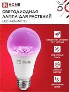IN HOME Лампа светодиодная LED-A65 STD-ФИТО красно-синий спектр 25Вт 230В Е27 4690612057712