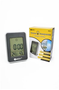 GARIN Метеостанция Точное Измерение WS-1 термометр-гигрометр-часы 12569