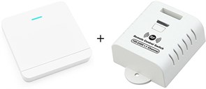 Выключатель беспроводной с подсветкой с контроллером RF433 белый f2cCrfu8gTi4raPBxLriS0