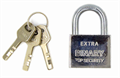 BINARY RUITAI PADLOCK Замок навесной металлический 50 мм 3050 SP-02264 9664 - фото 29716