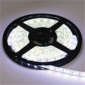 ECOLA лента LED strip PRO 14.4W/m 12V IP65 10mm 60Led/m 6000K 18Lm/LED 1080Lm/m P5LD14ESB - фото 30316