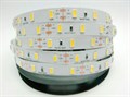 General Лента светодиодная 12V 18W/m 60led/m IP20 4500K 4K 1500lm/m 5м  503201 503201 - фото 37253