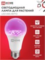 IN HOME Лампа светодиодная LED-A65 STD-ФИТО красно-синий спектр 25Вт 230В Е27 4690612057712 - фото 47214 IN HOME Лампа светодиодная LED-A65 STD-ФИТО красно-синий спектр 25Вт 230В Е27 4690612057712 - фото 47214