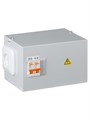 TDM Ящик с трансформатором понижающим ЯТП-0,25 220/36-2 авт. IP31 SQ1601-0005